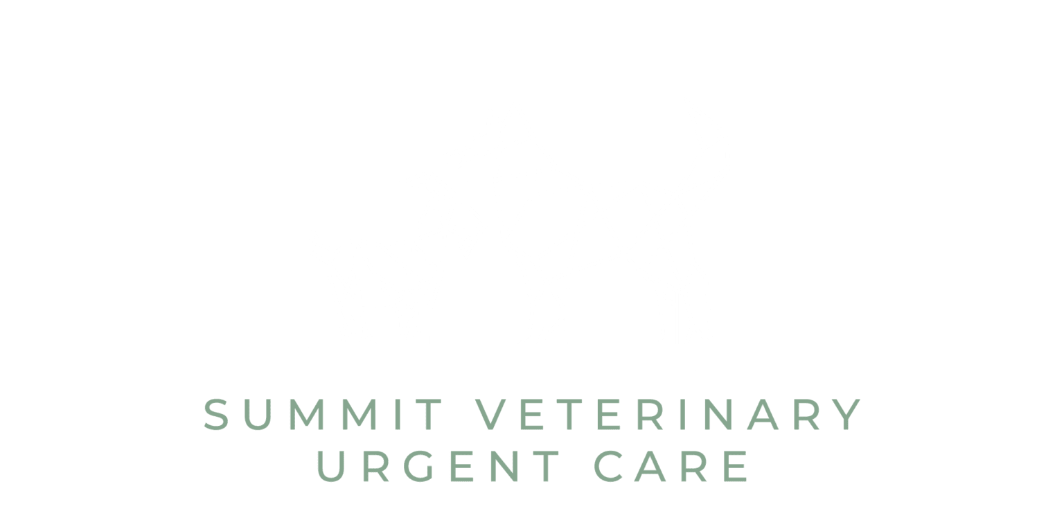 Summit Vet Care Urgent Care Vet Clinic Serving Decatur and Priceville