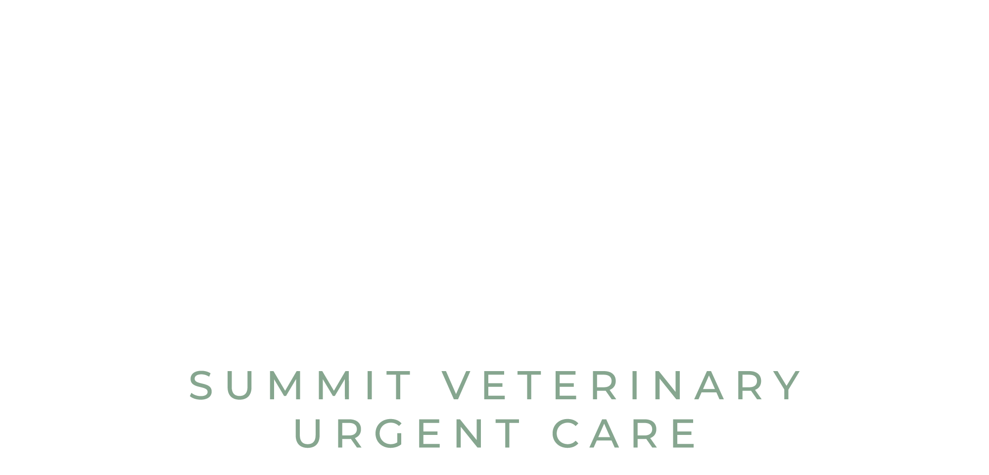 Summit Veterinary Urgent Care