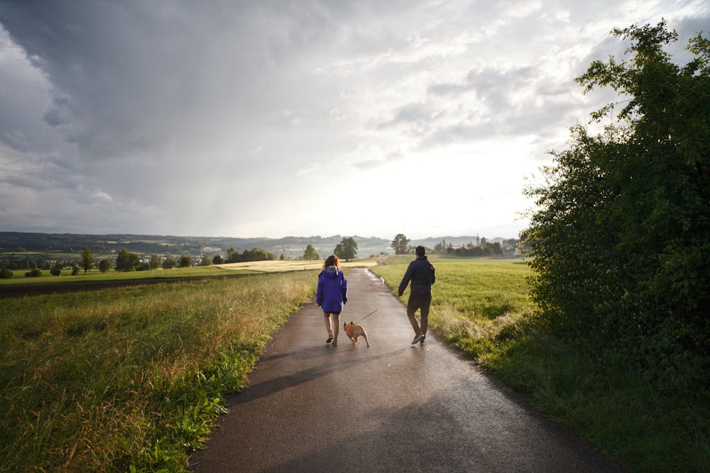 Man and Woman Walking Dog on Tarmacked Road