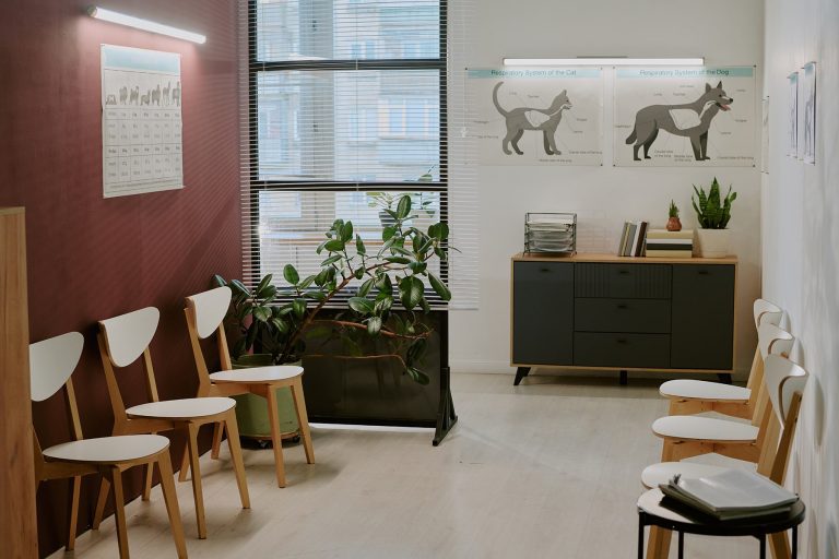 Emergency vet appointment in Decatur, AL