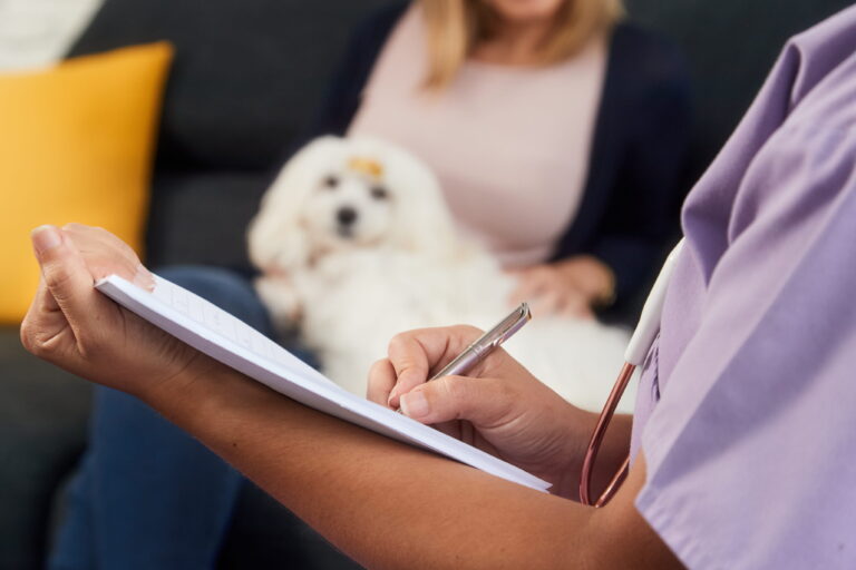 Urgent pet vet in Decatur, AL